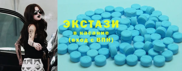 соль ск Каменка