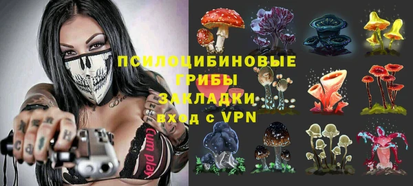 спайс Карталы
